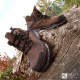 Chaussure de chantier hiver Cofra Goya