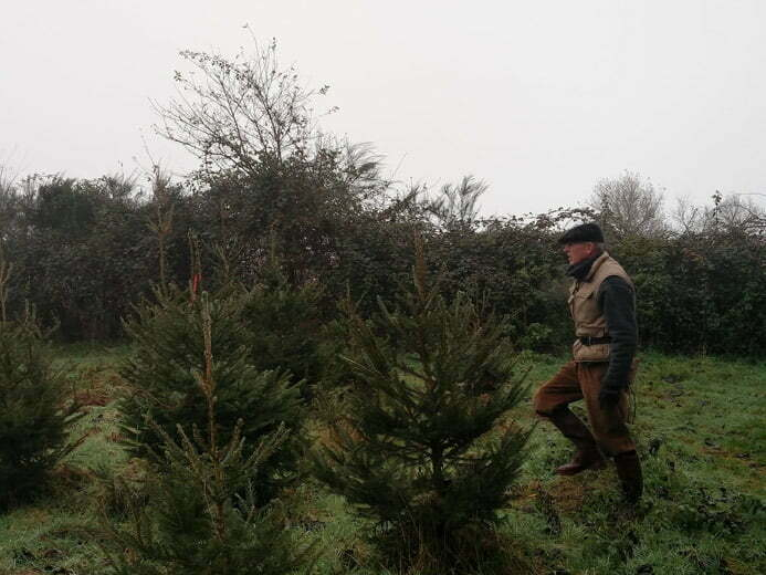 Forestier au travail